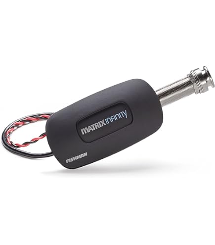 Amazon.co.jp: Barcus Berry 1455-3 Acoustic Guitar Pickup Insider